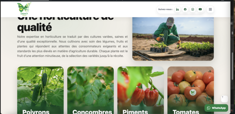 Refonte du site Legacy Farms – Projet porté par Oulimata Sarr, ancienne ministre du Sénégal — aperçu du projet